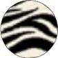 Zebra · Ref. 201 1 304 · Col. 5
