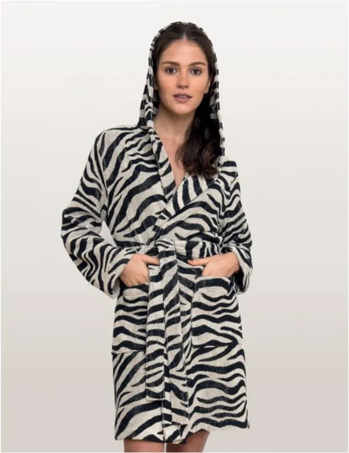 Zebra – Show photo 2