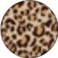 Wild II · Ref. 206 1 07 · Col. 1